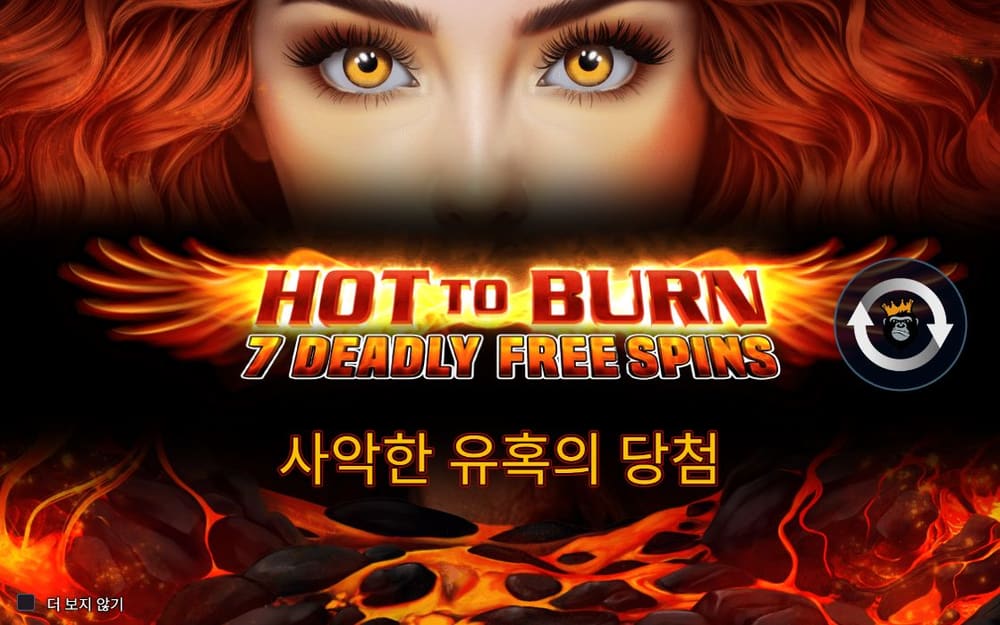 핫 투 번 두 번째 스핀 정지 결과 실제 화면
