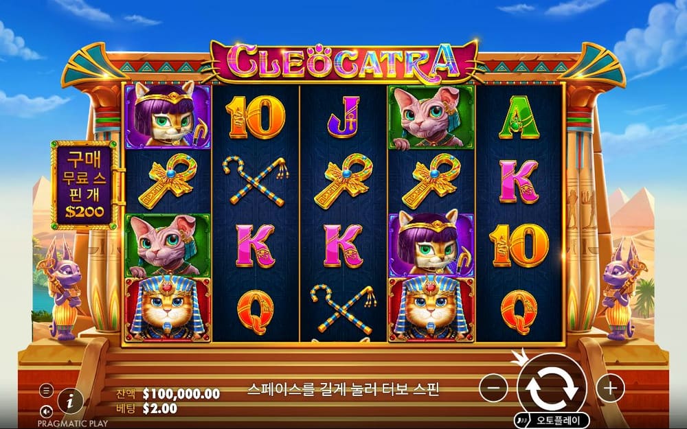 클레오카트라 이집트 기둥 프레임 안에 고양이 파라오와 금빛 앙크가 여러 칸 놓여 있습니다