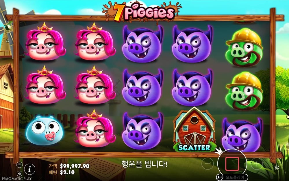 헛간과 여러 돼지가 멈춘 첫 결과