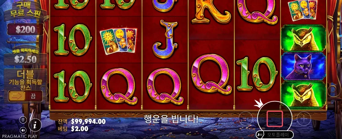 마담과 가변 릴 결과가 선명한 마담 데스티니 메가웨이즈 최종 화면