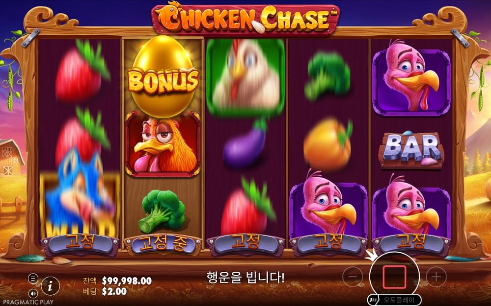 치킨 체이스 두 번째 스핀의 닭과 채소 진형