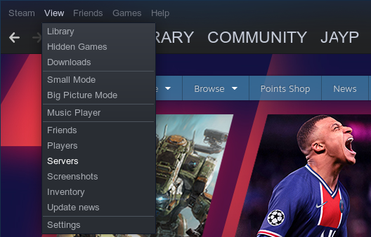 1--steam-view-servers