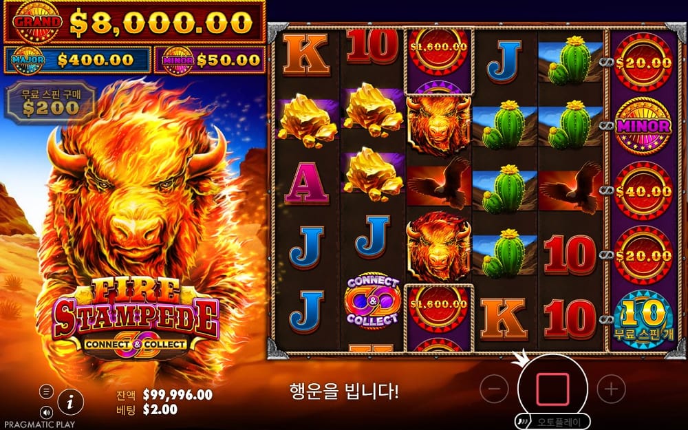 파이어 스탬피드 두 번째 회전 과정