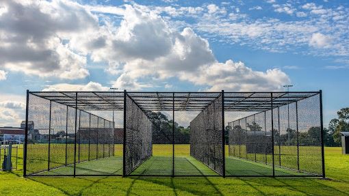 cricket fence.JPG