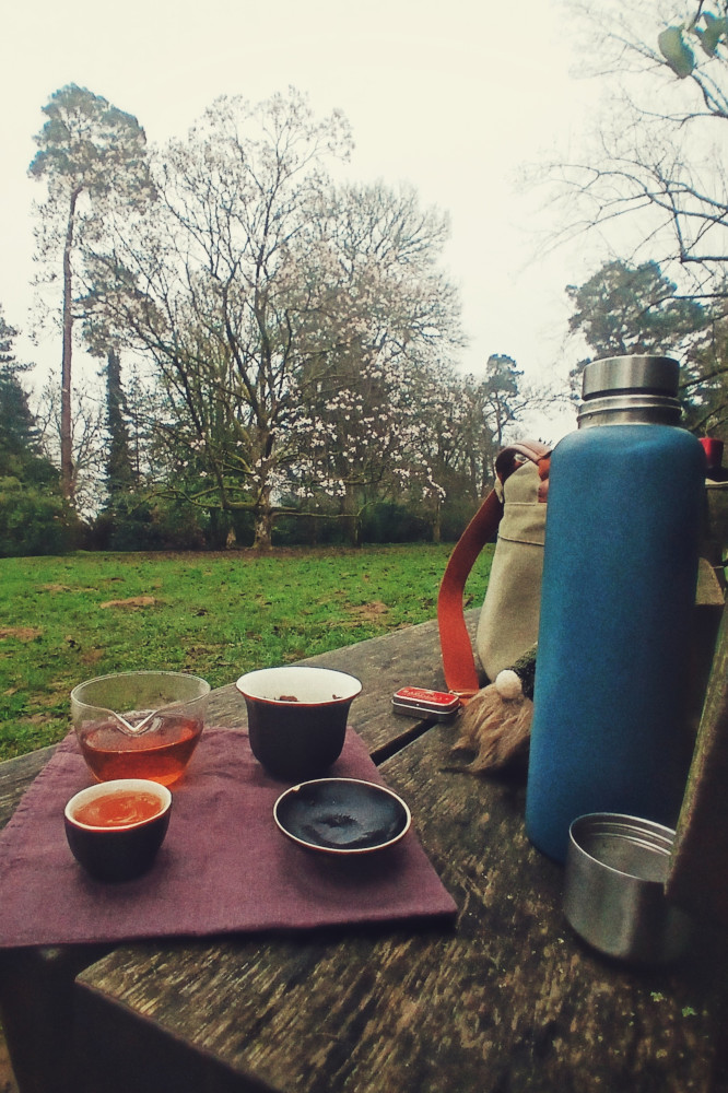 A vertical colour photograph of a gaiwan set with a red tea in the fairness jug. Behind is a magnolia starting to flower amongst many other mostly still bare trees.