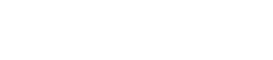 5tylus