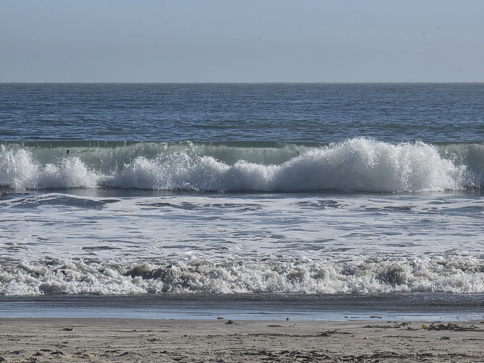 Cayucos-wave-2