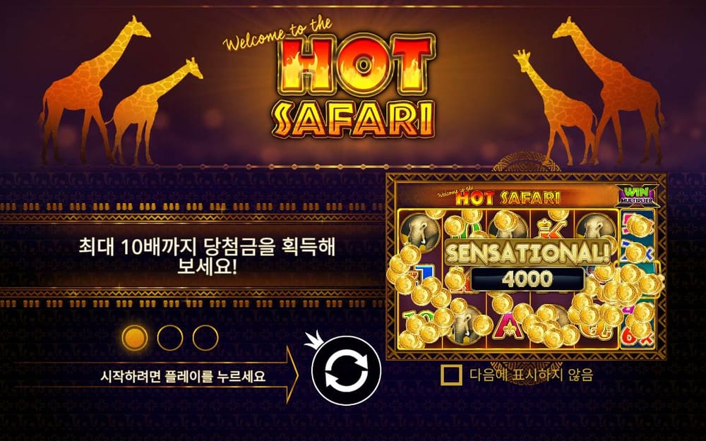핫 사파리 두 번째 스핀 진행 중 실제 화면