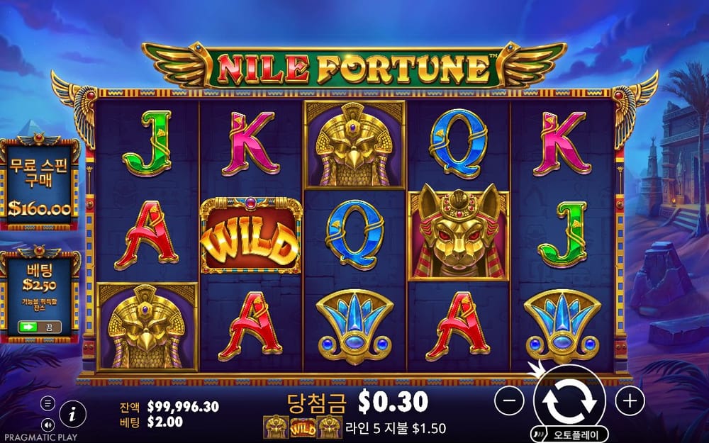 와일드와 황금 가면이 만든 첫 번째 당첨 결과