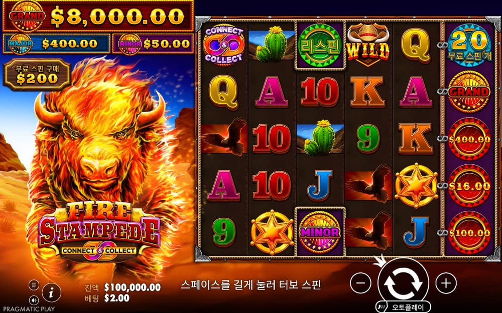 파이어 스탬피드 불꽃 들소 기본 릴