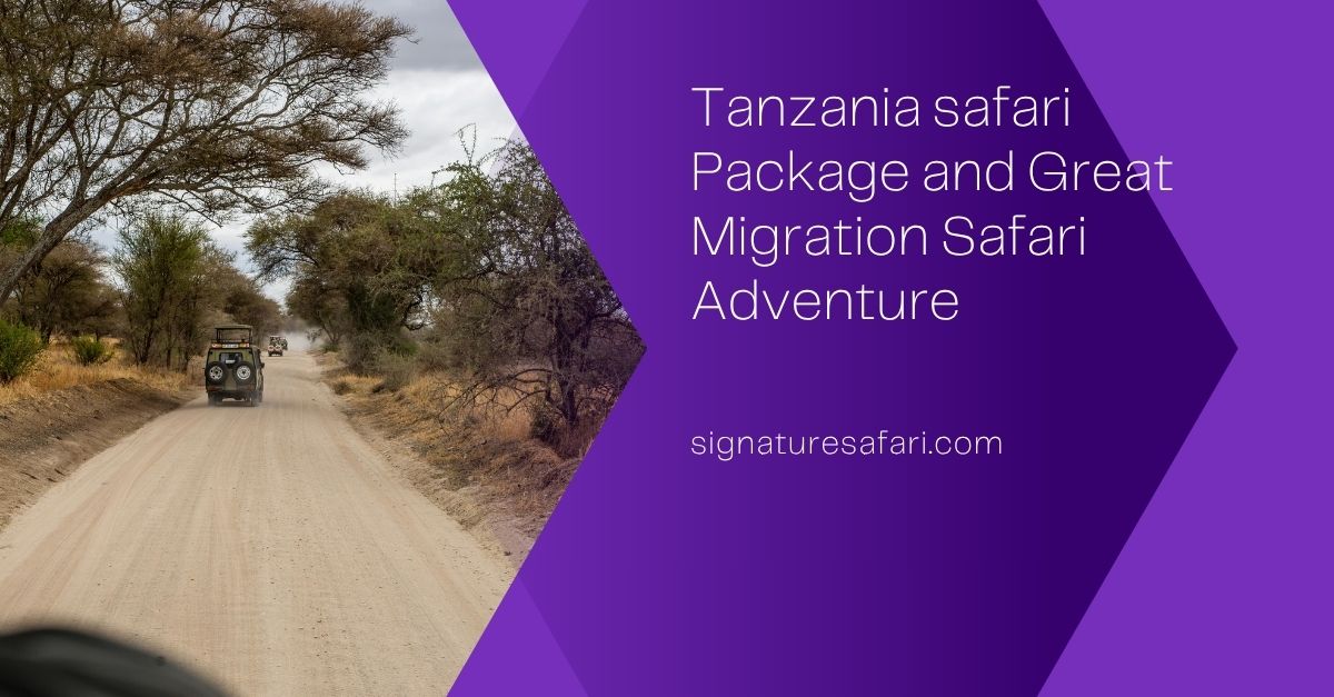 _Signaturesafari  2 35 Article Image (11).jpg