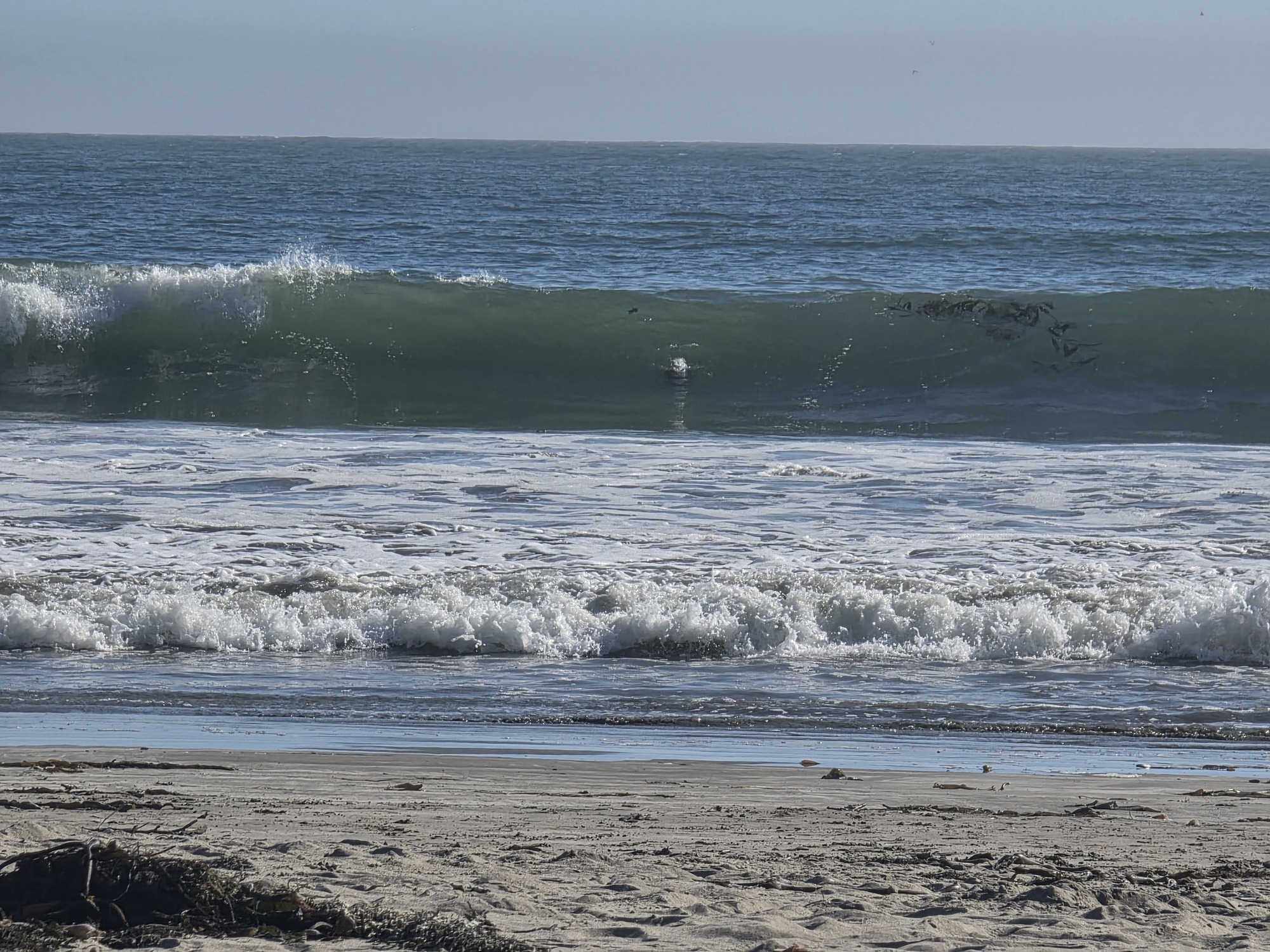 Cayucos-wave-3