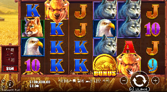 모바일 화면에서 Buffalo King 전체 릴과 회전 조작부가 잘리지 않은 실제 장면