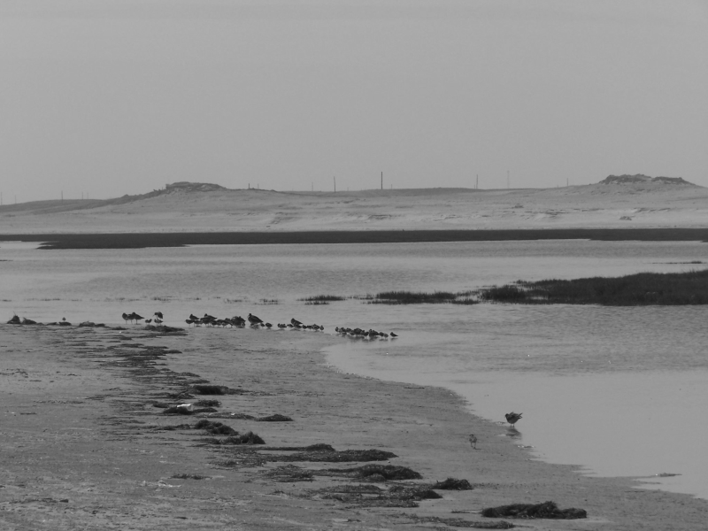 nouadh_bw_blog