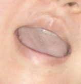 부처님오신날.png