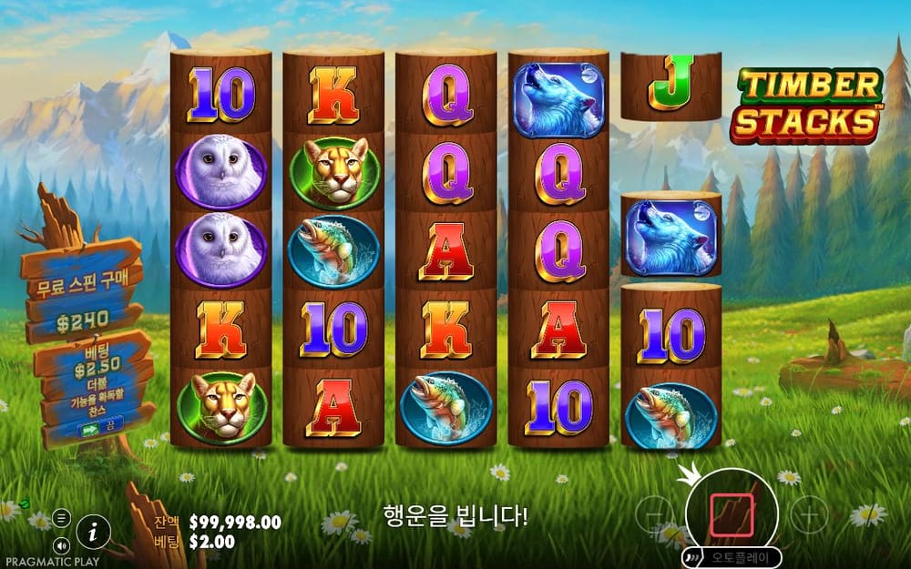 팀버 스택스 두 번째 스핀 진행 중 실제 화면