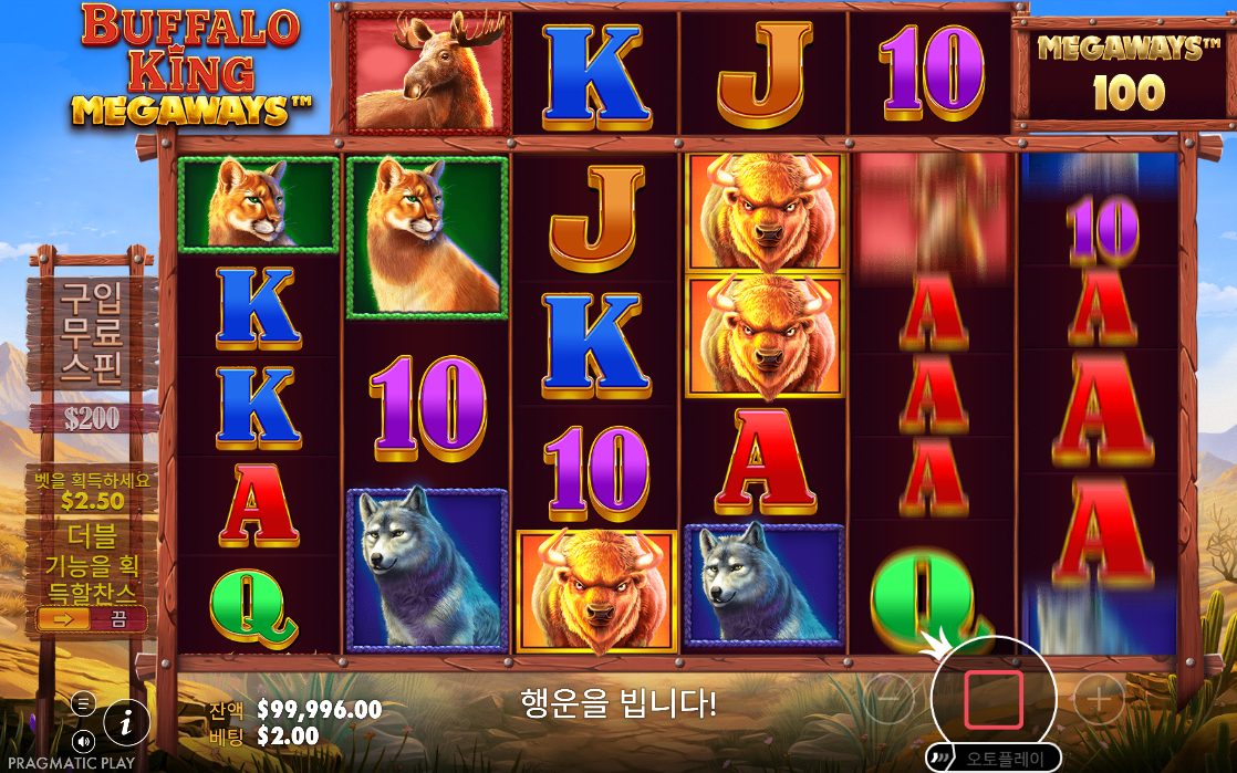 Buffalo King Megaways 프리스핀 안내 패널