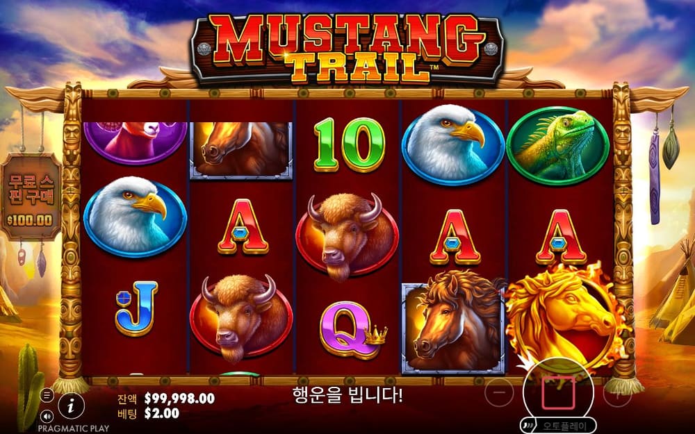 머스탱 트레일 두 번째 스핀 진행 중 실제 화면