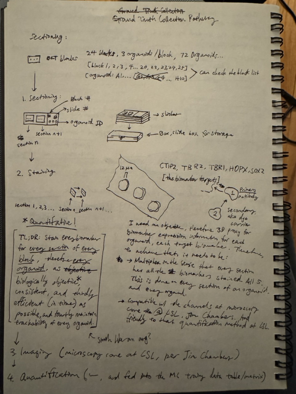 ground truth paper plan.jpeg