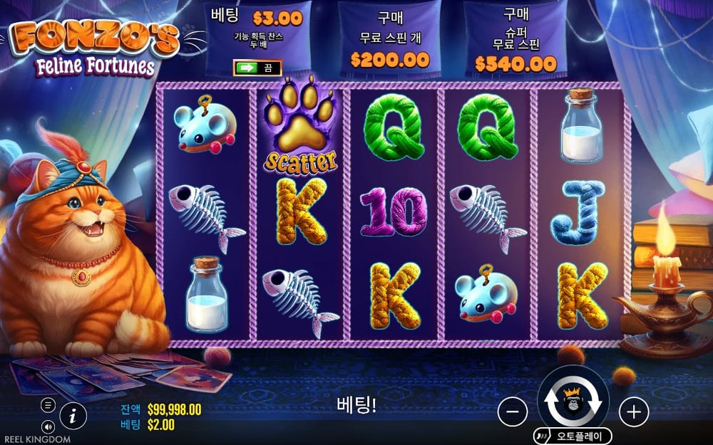 발자국과 점술 소품이 멈춘 첫 결과