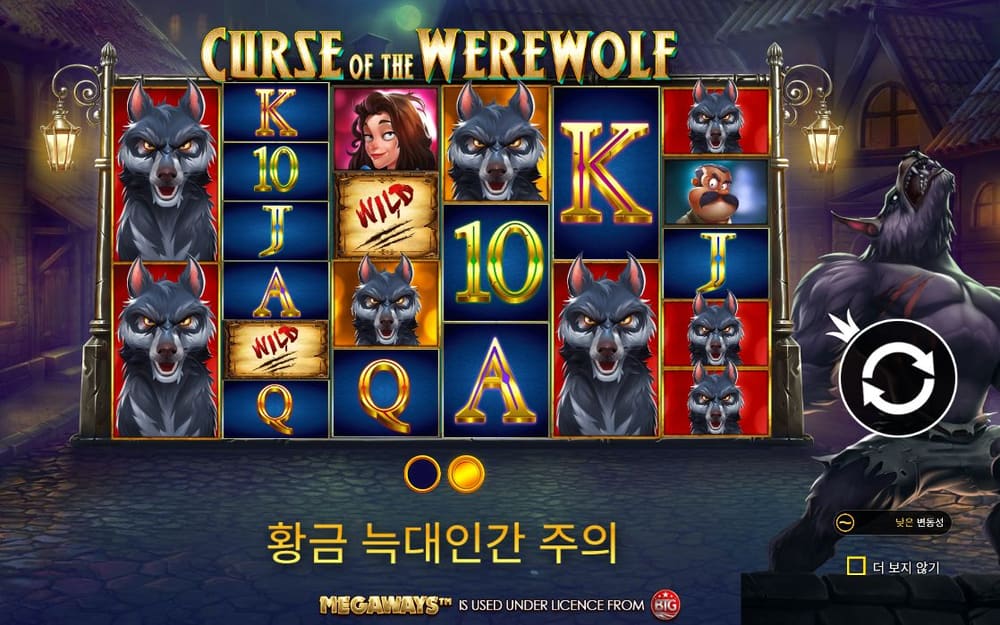 커스 오브 더 웨어울프 메가웨이즈 회색 늑대 얼굴, 붉은 기둥과 WILD 두루마리가 어두운 릴에 섞여 보입니다