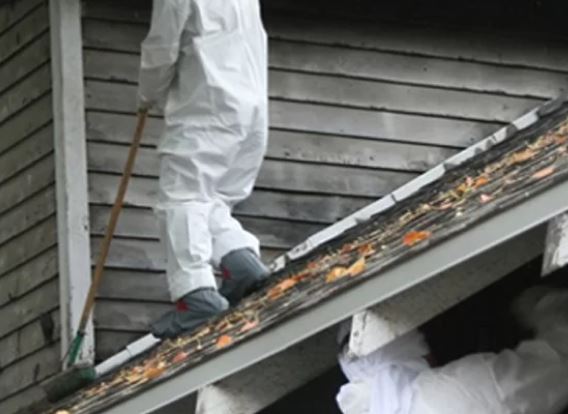 asbestos removal.JPG