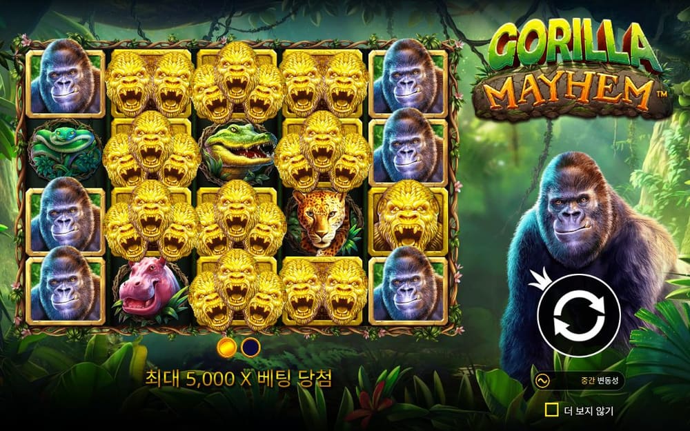 고릴라 메이험 금빛 고릴라 군집과 작은 붉은 꽃이 릴에 정지한 장면입니다