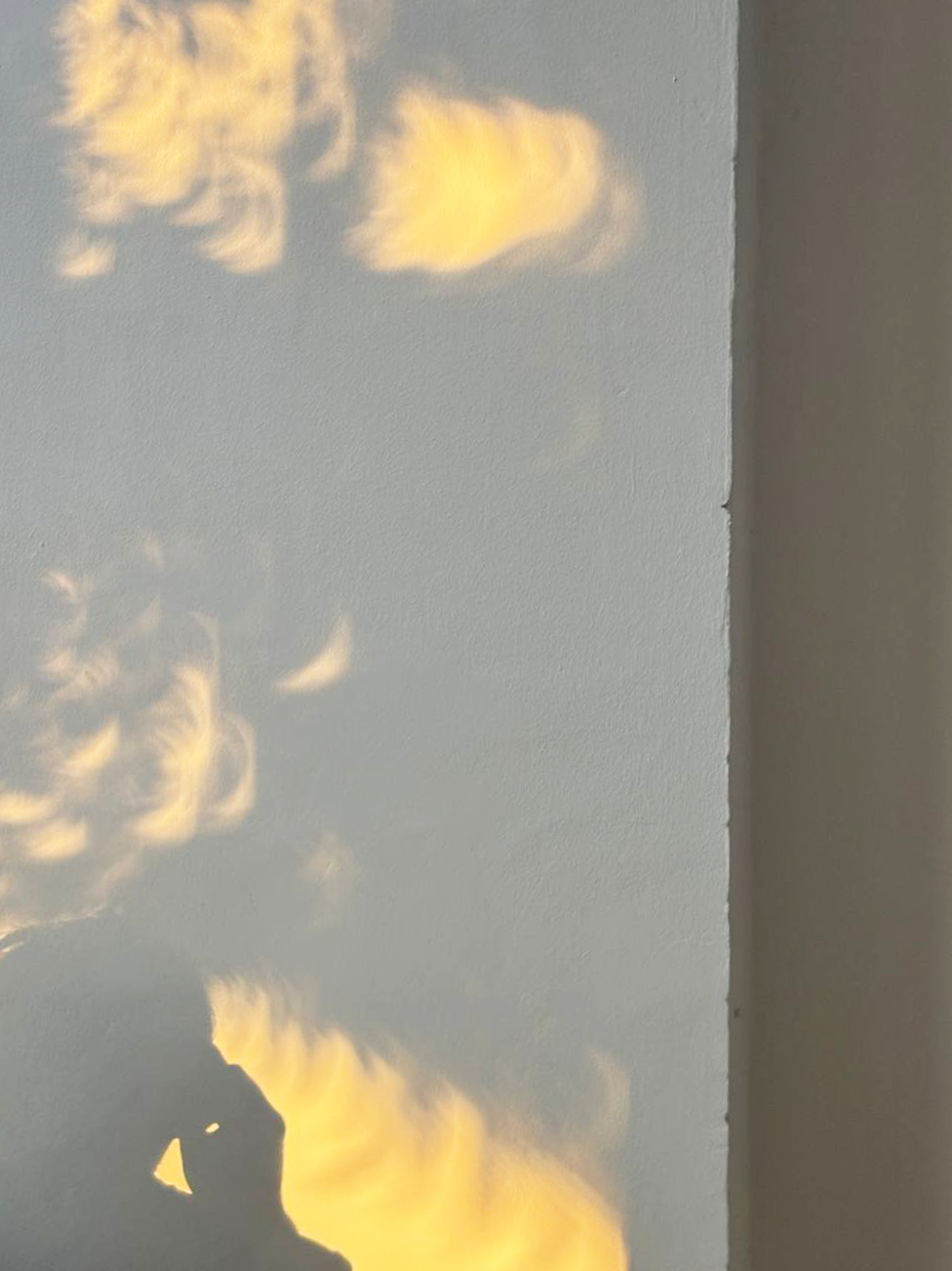Eclipse.jpg