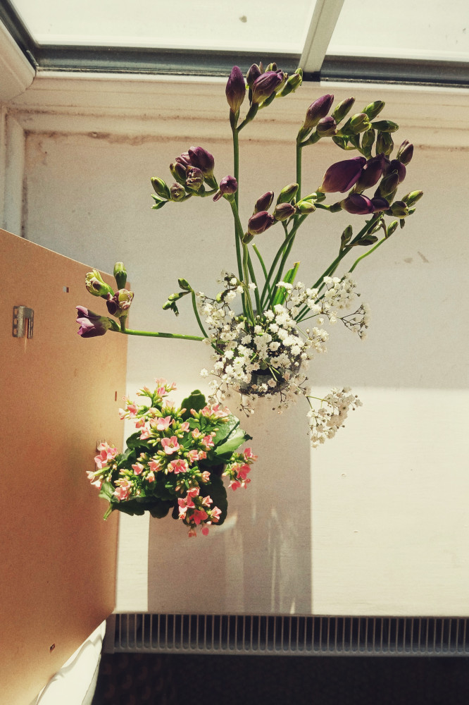 A vertical top down colour photograph of a small pot with a succulent with pink flowers next to a grey smoky vase with purple and white flowers. They are on a large windowsill by a thin picture frame back.