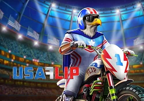 USA Flip 게임 대표 이미지