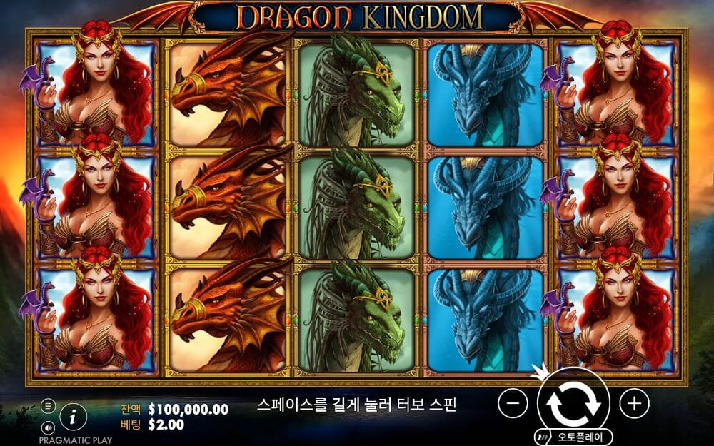 드래곤 킹덤 첫 번째 스핀 정지 결과 실제 화면