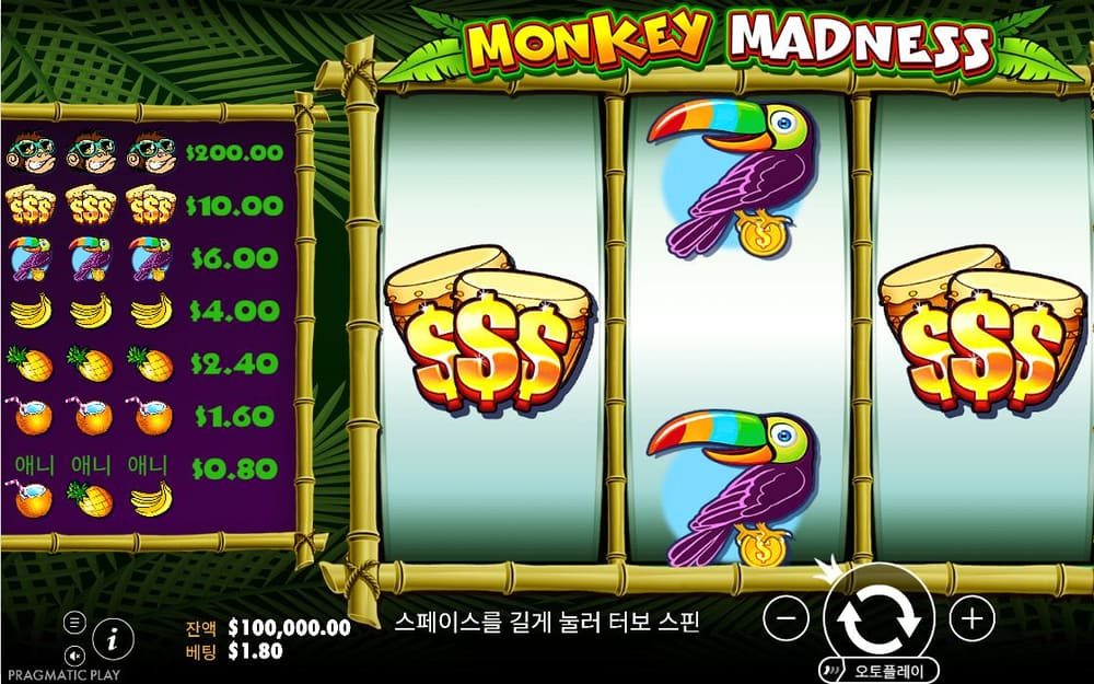 몽키 매드니스 MONKEY MADNESS 로고 아래 세 개의 긴 릴에 큰부리새와 달러 자루가 보입니다