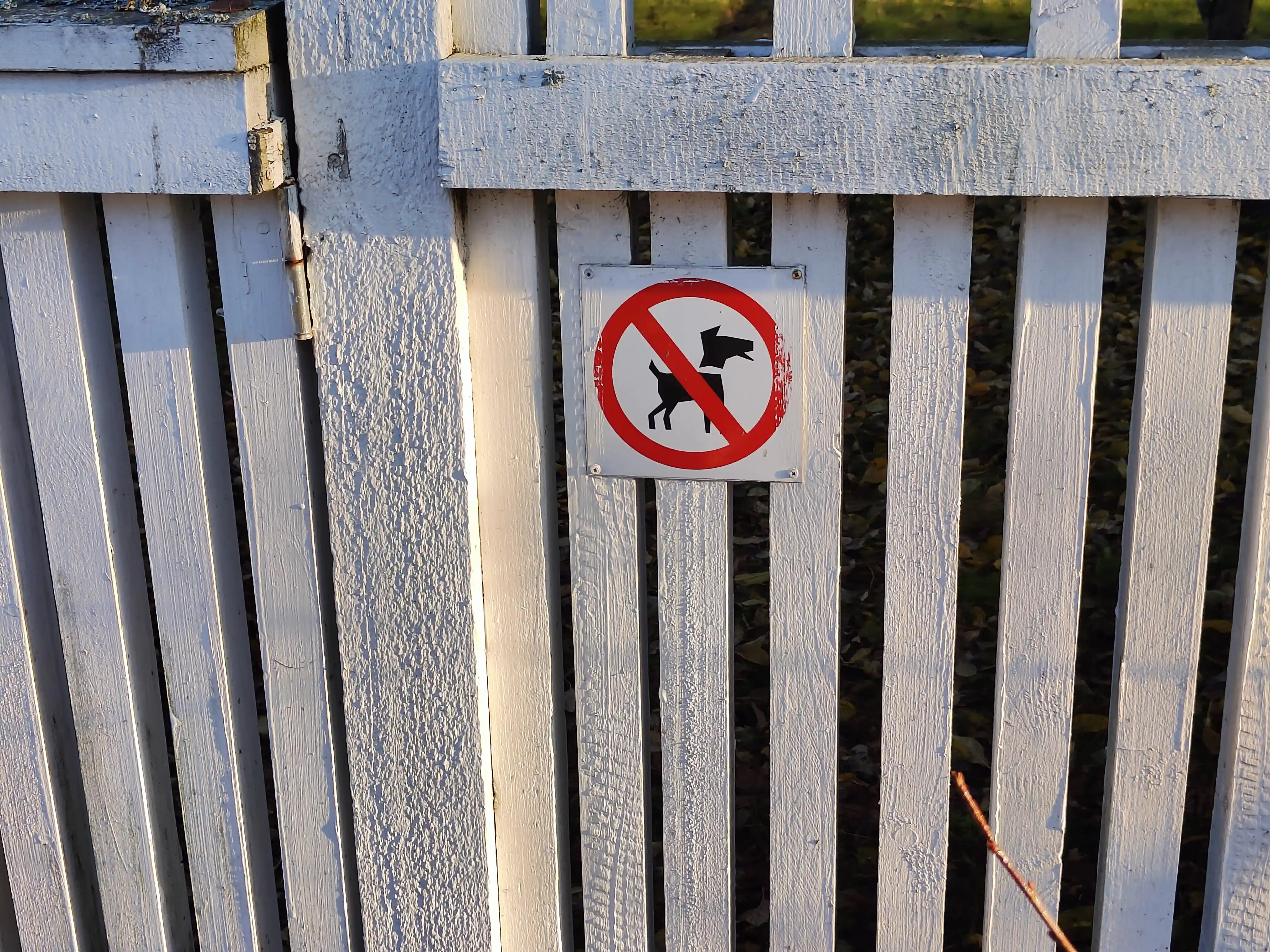 Direct no dogs sign.