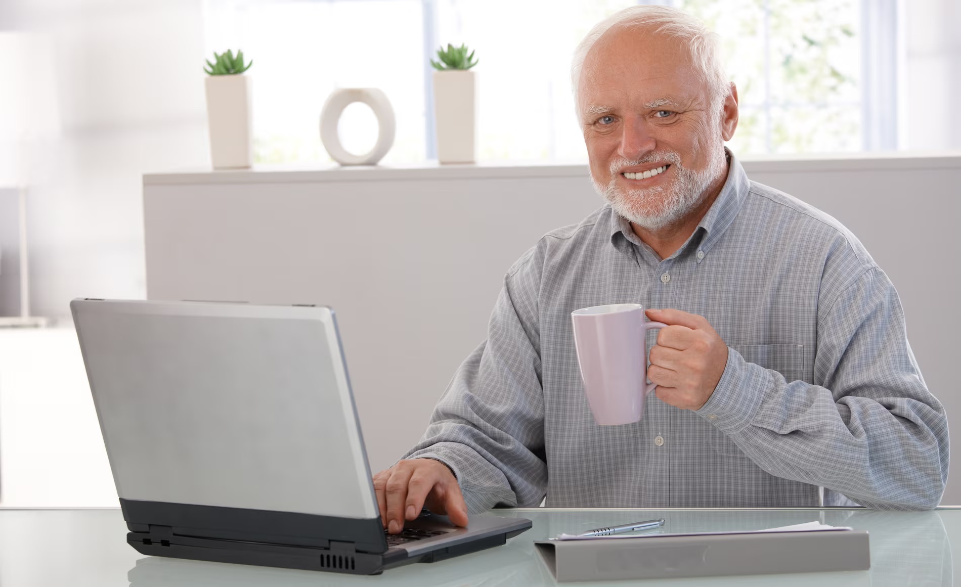 hide the pain Harold