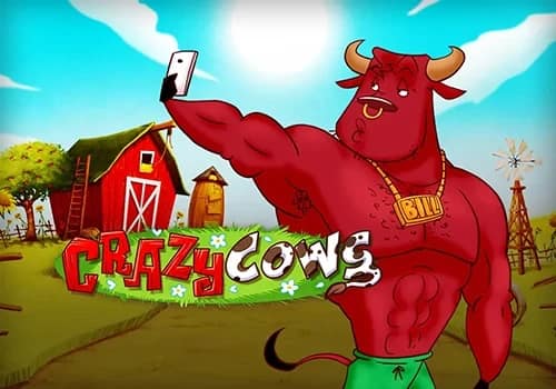 Crazy Cows 게임 대표 이미지