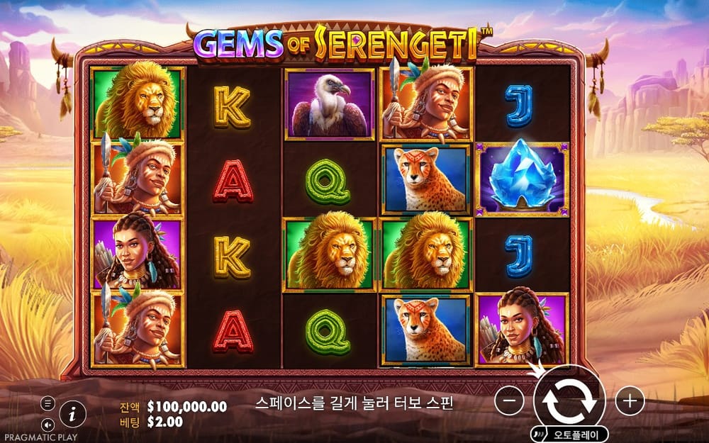 젬스 오브 세렝게티 황금 초원과 동물 초상이 놓인 기본판