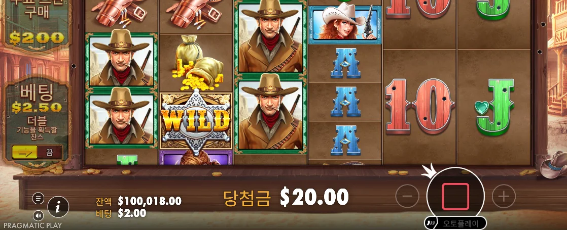 WILD 배지와 20달러 당첨이 보이는 회전 중 화면