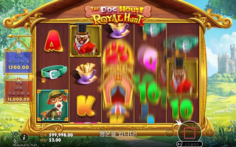 더 도그 하우스 첫 번째 스핀 정지 결과 실제 화면