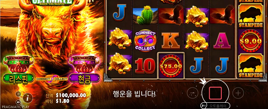 연결된 심볼 구역이 드러난 파이어 스탬피드 얼티밋 당첨 화면