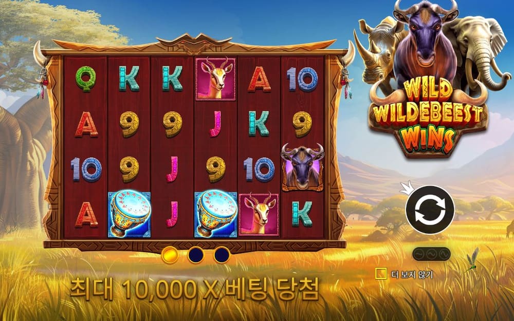 와일드 와일드비스트 윈스 아프리카 초원 앞 6×4 보드에 Q·K·A·10·9 문자와 영양·다이아몬드 심볼이 놓입니다