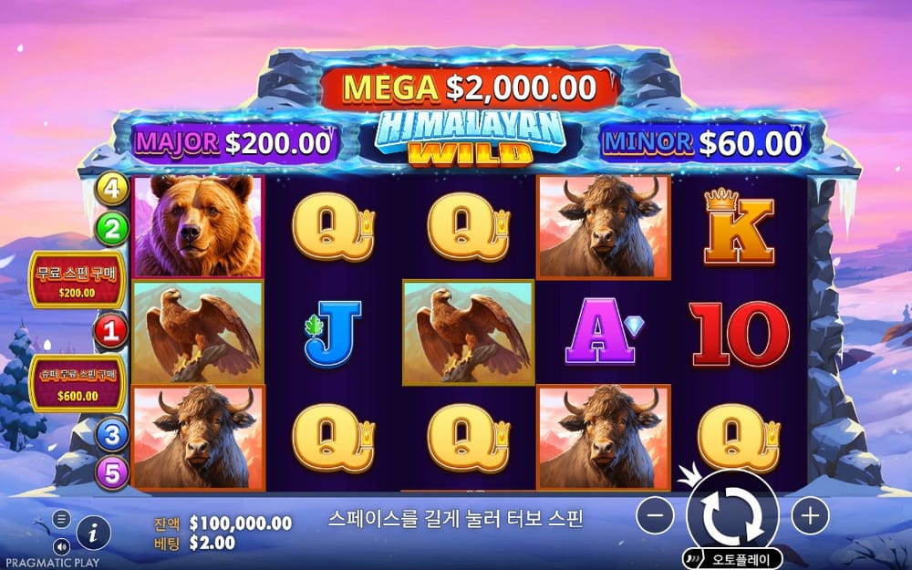 산악 동물과 글자가 배치된 히말라얀 와일드 기본판