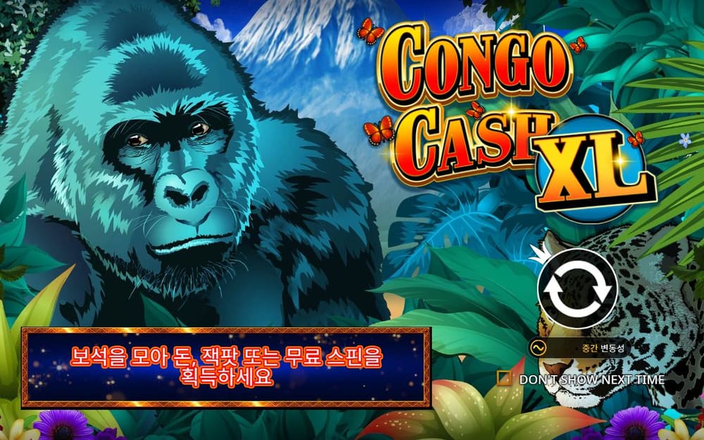 콩고 캐시 XL 표범의 머리와 초록 잎, XL 글자가 같은 안내 화면에 남아 있습니다