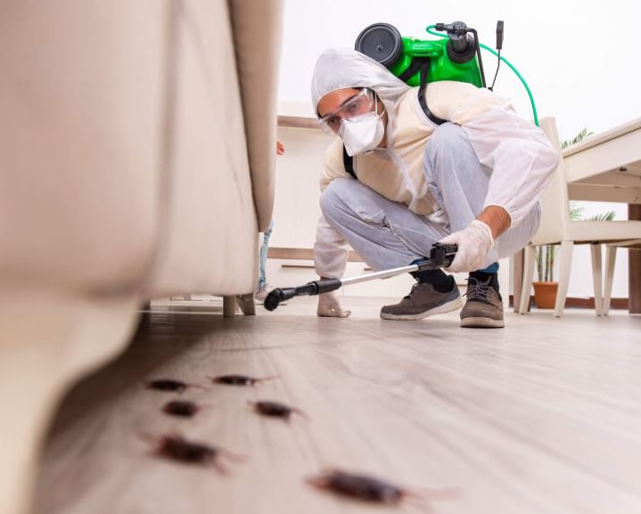 Residential Pest Control.JPG