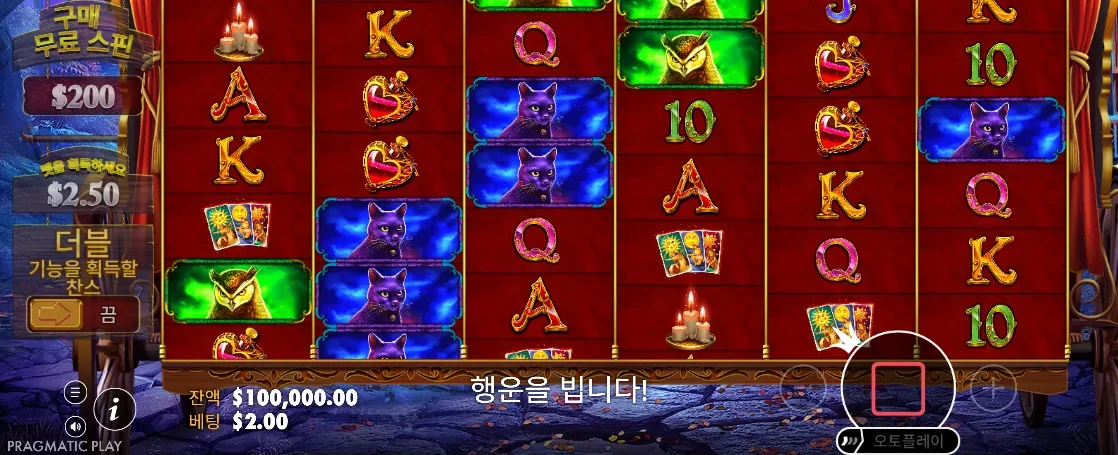적중 심볼과 텀블 변화가 보이는 마담 데스티니 메가웨이즈 결과