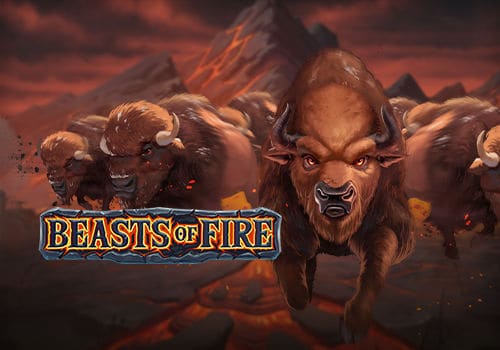 Beasts of Fire 게임 대표 이미지