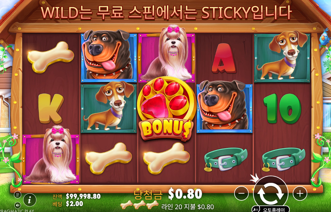 더 도그 하우스 스티키 규칙 확인판 슬롯 릴 실제 플레이 화면 장면
