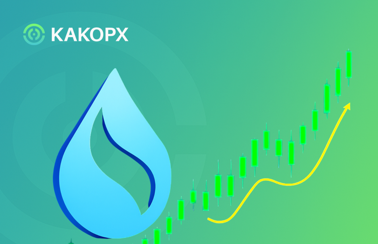 KAKOPX