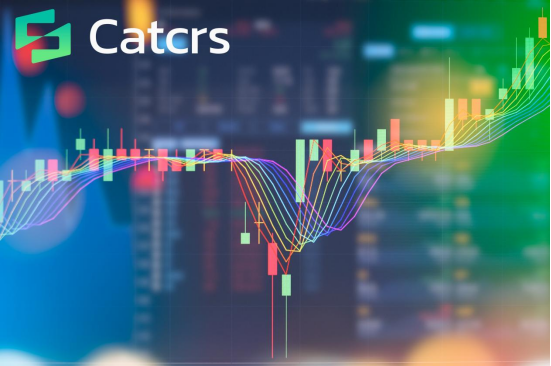 Catcrs Observes Wall Street Signals: From “Autumn” to Risk Hedging Full-Link Solutions