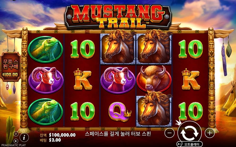 머스탱 트레일 기본 보드와 하단 조작부 실제 화면