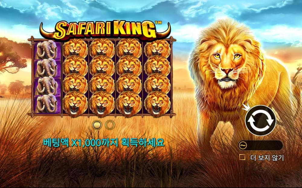 사파리 킹 금빛 사자 얼굴이 여러 줄로 빽빽하게 반복된 화면입니다